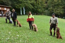 Hundepräsentation 2020